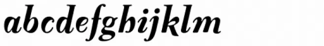 FF Oneleigh OT Black Italic