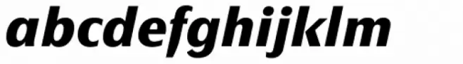 FF Page Sans OT Bold Italic