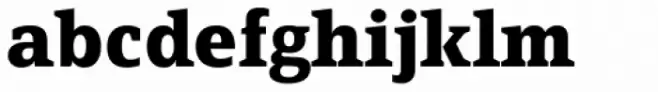 FF Page Serif OT Bold