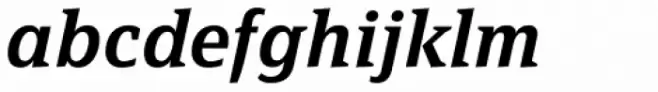 FF Page Serif OT Demi Italic
