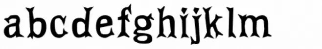 FF Priska Serif Not That Fat