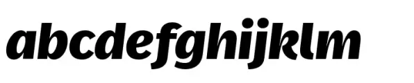 FF Real Head Black Italic