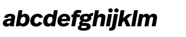 FF Real Head Bold Oblique