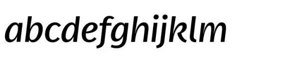FF Real Head Book Italic