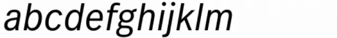 FF Real Head Condensed Semi Light Oblique