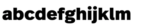 FF Real Text Black