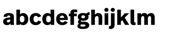 FF Real Text Bold