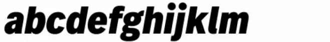 FF Real Text Condensed Black Oblique
