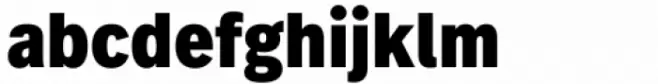 FF Real Text Condensed Black