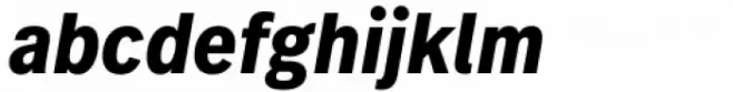 FF Real Text Condensed Bold Oblique