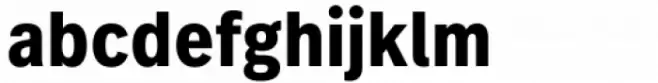 FF Real Text Condensed Bold