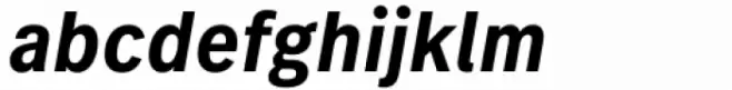 FF Real Text Condensed Demi Bold Oblique