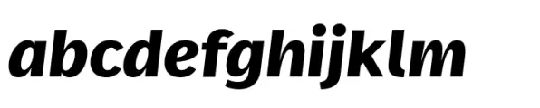FF Real Text Extrabold Italic