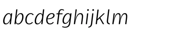 FF Real Text Light Italic