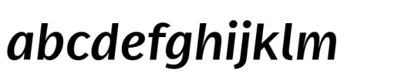 FF Real Text Medium Italic