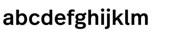 FF Real Text Medium
