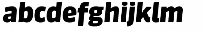 FF Sanuk Big Black Italic