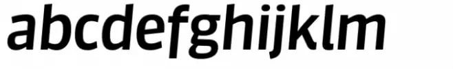 FF Sanuk Big Medium Italic