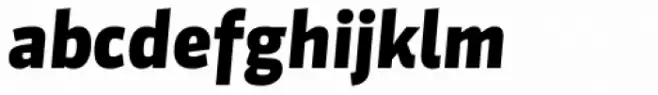 FF Sanuk OT Black Italic