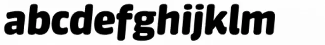 FF Sanuk Round Black Italic