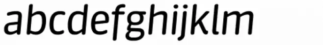 FF Sanuk Round Italic
