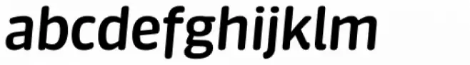 FF Sanuk Round Medium Italic