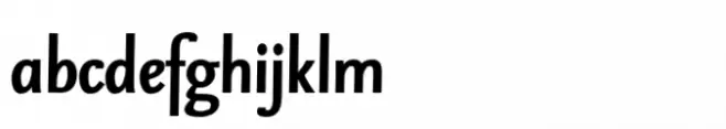 FF Seria Sans Bold Italic