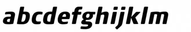 FF Signa Round Condensed Black Italic