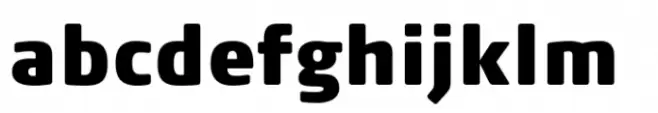 FF Signa Round Condensed Extra Black