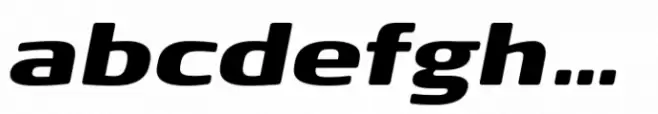 FF Signa Round Extended Black Italic