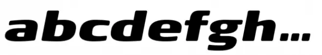 FF Signa Round Extended Extra Black Italic
