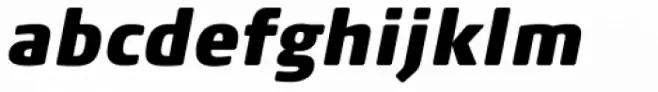 FF Signa Round Pro Condensed Extra Black Italic