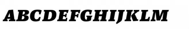 FF Spinoza Black Italic SC