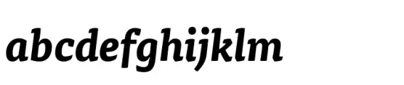FF TisaÂ® Paneuropean Bold Italic