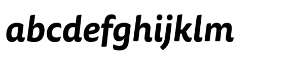 FF Tisa Sans Paneuropean Bold Italic