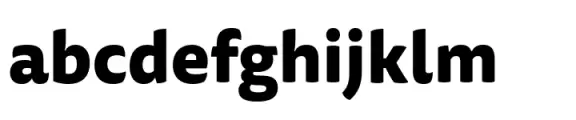 FF Tisa Sans Paneuropean Extra Bold
