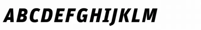 FF Unit Bold Italic SC