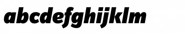 FF Zine Sans Display Black Italic