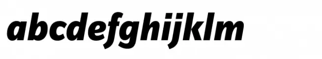 FF Zine Sans Display Extra Bold Italic
