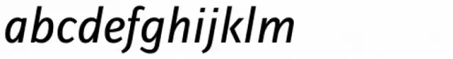 FF Zine Sans Display OT Italic