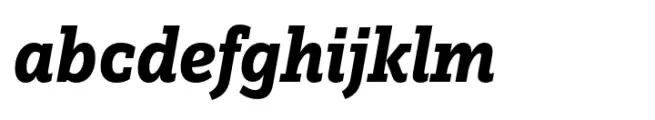 FF Zine Slab Display Bold Italic