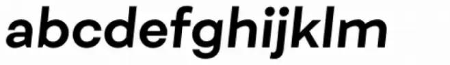 Fibra Alt Bold Italic