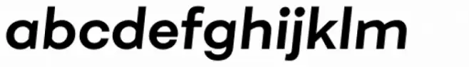 Fibra Bold Italic
