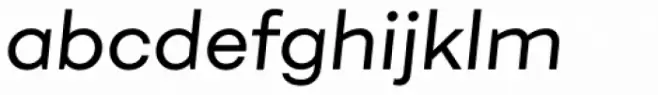Fibra Regular Italic