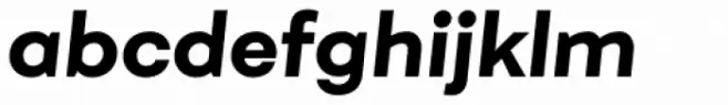 Fibra Ultra Bold Italic