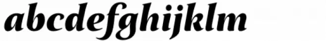 Fielding Black Italic
