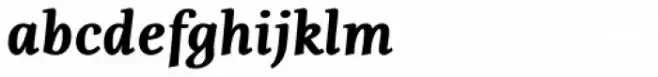 Fiesole Caption Black Italic