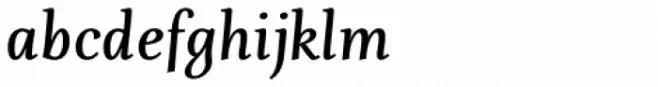 Fiesole Text Bold Italic