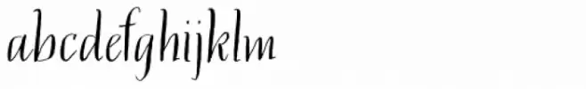 Filet Serif
