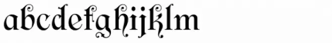Filibuster NF